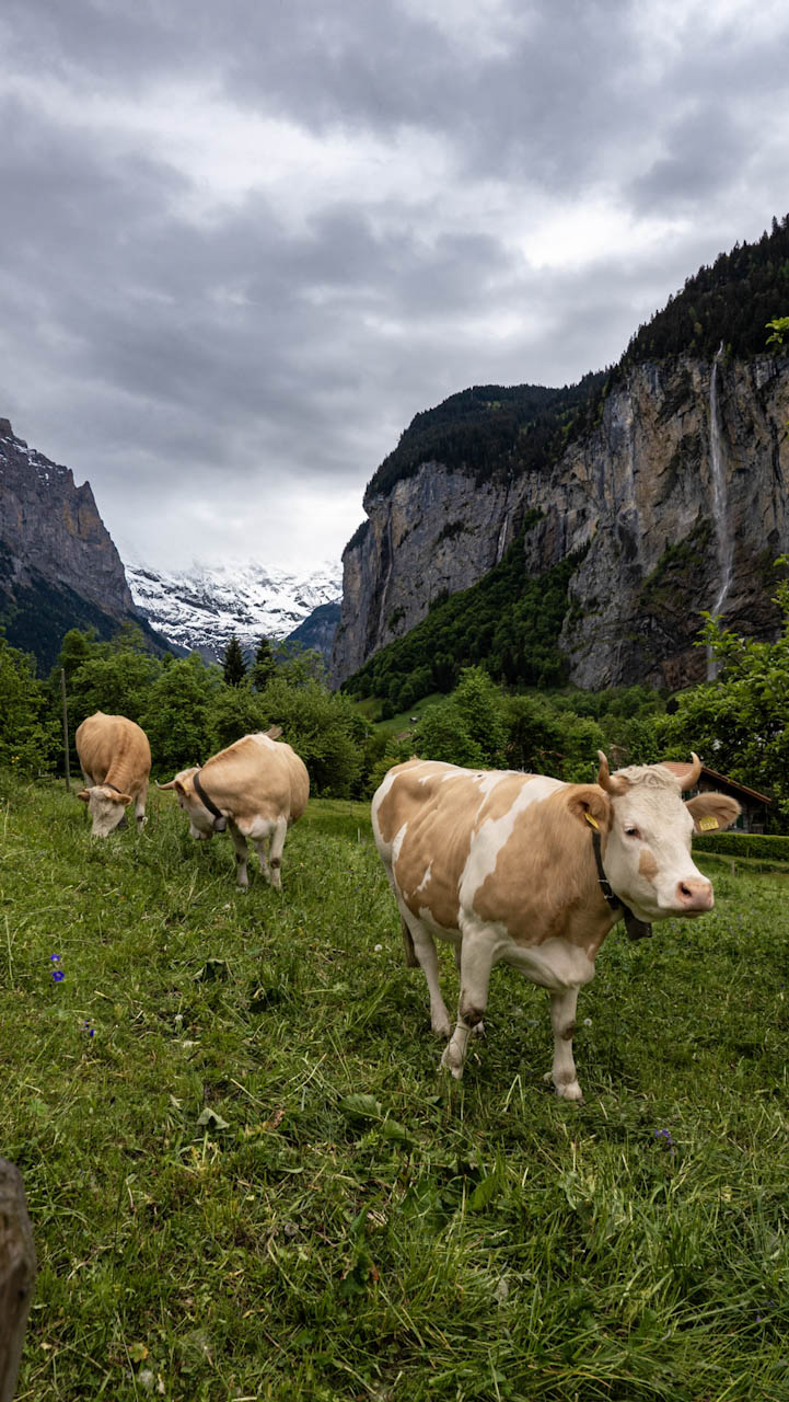 Lauterbrunnen Midday
