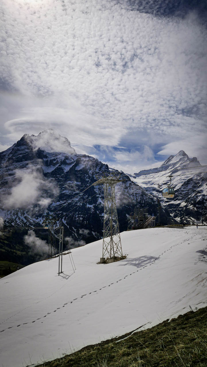 Grindelwald After Midnight